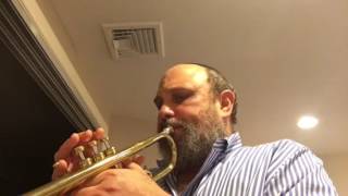 עוף גוזל Dror Frommer Trumpet