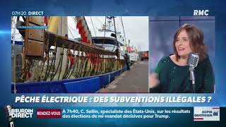 Marie Dupin sur RMC (Bourdin direct) - L'UE a-t-elle financé illégalement la pêche électrique ?