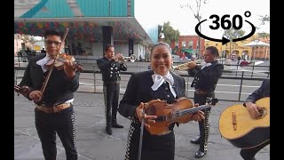 'Las Mañanitas' para los Papás de General Electric Mexico (Mariachi 360)
