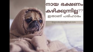 ചൂടുകാലത്ത് നായ്ക്കളുടെ ഭക്ഷണം SUMMER SEASON FOOD FOR YOUR PET DOGS... (WITH NOTES IN ENGLISH)