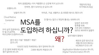 MSA Introduction, 개요, 도입, 개념, 장점, 단점, 고려사항, 필요성