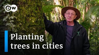 Can trees stop climate change? | DW Documentary