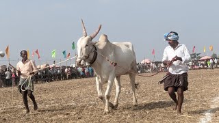 🛑 గుడికల్ సంక్రాంతి పండుగ గిరక పోటీలు 2025 // 10  వ జత