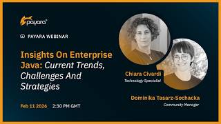 Insights on Enterprise Java: Current Trends, Challenges and Strategies