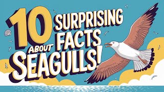 Seagulls: Fascinating Facts and Curiosities.