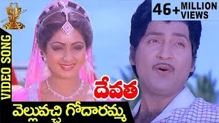 Velluvachi Godaramma Video Song | Devatha Telugu Movie Songs | Shobhan Babu | Sridevi | Jaya Prada