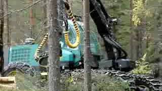 Forest cutting in Finland