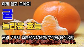 놀라운 귤의 7가지 효능/부작용/장점/단점/음식궁합