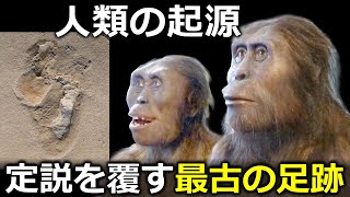 人類の起源はアフリカ外!?～サヘラントロプスは本当に最古の人類なのか!?（最新論文より）～【解説】