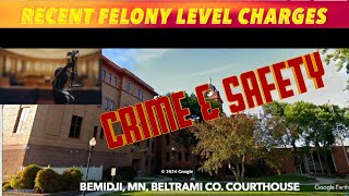 Recent Felony Level Charges In Beltrami County Court