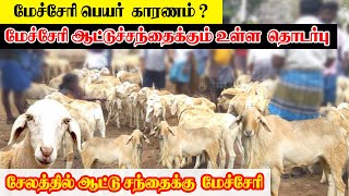 மேச்சேரி பெயர் காரணம் ? | மேச்சேரி ஆட்டுச்சந்தைக்கும் உள்ள  தொடர்பு  | mecheri aadu santhai |