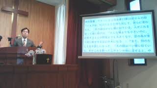 「小さな種でも」（新約聖書・マタイによる福音書13章31節から35節）