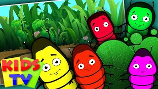 Five Little Caterpillars | Five Little Series | Kids Tv Nursery Rhymes