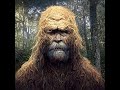 Valley of the Sasquatch HD