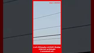 உயர் மின்னழுத்த கம்பியில் இருந்து மின்சாரம் தாக்கியதில் 5 யானைகள் பலி🔴🔴🔴