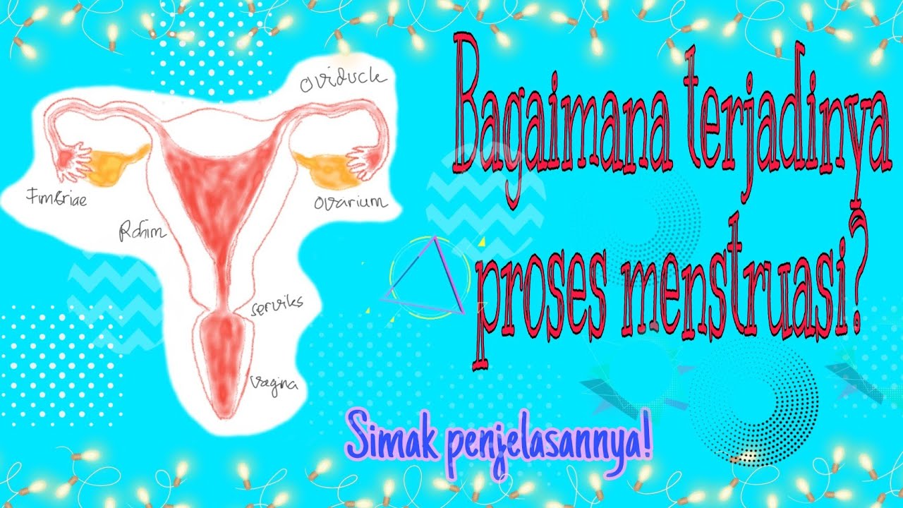 Proses Terjadinya Menstruasi - YouTube