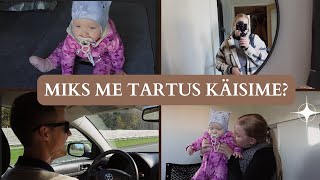 ÜHE PÄEVA VLOG | Miks me Tartus käisime?