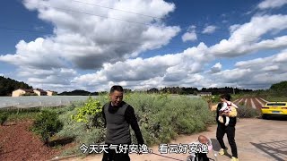 在四川农村，出个门都当旅游了，随便一个角落都像幅画一样