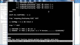 Advanced Shell Scripting Template