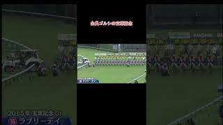 全員ゴルシの宝塚記念2015【競馬】