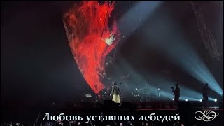 Dimash Kudaibergen, Любовь уставших лебедей, Stranger tour, Astana-Arena, 13.09.2024