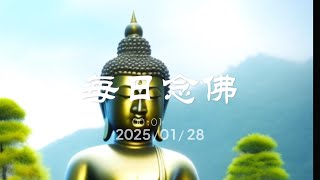 每日念佛 20250128