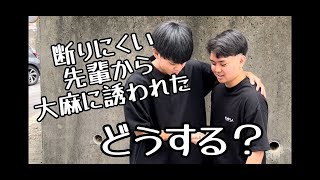 薬物乱用防止広報啓発動画⑤　断りにくい先輩から大麻に誘われた