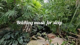 Experience Serenity:Sleep Soundly Tonight | Relaxing Music to Calm Your Mind \u0026 Body