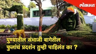 पुण्यातील संभाजी बागेतील फुलांचं प्रदर्शन तुम्ही पाहिलंत का? |Sambhaji garden flower exhibition Pune