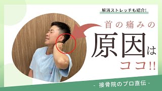 【首の痛み〜頚椎症〜】朝、起きたときに首が痛い、手にシビレがある、力が入りにくい、いつも首から手にかけてだるいときの対処方法！｜接骨院のプロが教えるお家セルフケア｜テラピスト接骨院