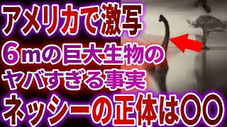 【衝撃】カメラが捉えた水に棲む怪物…実在する奇怪な未確認生物5選【ゆっくり解説】