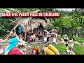 Beautiful Paddy field in tuensang 🥰 family picnic vlogs 2024