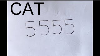 How to draw a cute cat drawing with number 5555 || easy cat drawing