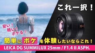 LEICA 25mm F1.4がボケる、安い、軽いのでとっても良いレンズだよって話｜マイクロフォーサーズの定番単焦点レンズ！