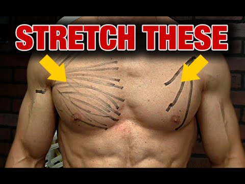 How to Stretch Your Chest (AND HOW NOT TO!) How to Stretch Your Chest (AND HOW NOT TO!)