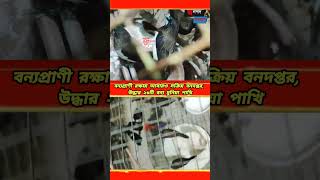 বন্যপ্রাণী রক্ষায় আবারও সক্রিয় বনদপ্তর, উদ্ধার ২৬টি বন্য মুনিয়া পাখি #janapad_sangbad #forest