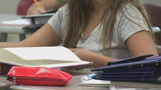 Rock Island County schools plan immigration enforcement guidelines