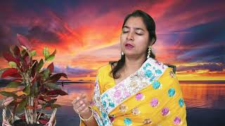 Bibhabori jago l Nachiketa l unplugged cover - Suvradipa