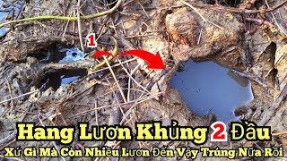 Câu lươn mương_Trúng mánh nữa rồi_Xứ gì mà còn nhiều lươn đến vậy_tập880//Giant eel fishing