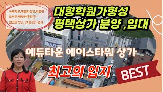 (최고의학군!!)에이스타워 평택상가 분양 대형학원가형성/예술의 전당이 건립/아마존여전사TV