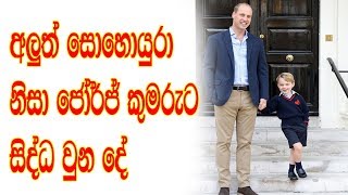 අලුත් සොහොයුරු නිසා ජෝර්ජ් කුමරුට සිද්ධ වුන දේ