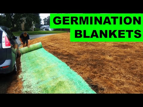 Gr Seed Germination Time Gras Using Germination Blankets To Grow Gr Seed On A Hill