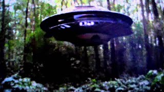 Top 5 Strange UFO Sightings In 2024 That Prove Aliens Are Near