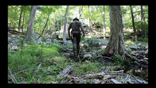 A BUSHCRAFT JOURNEY INTO THE WILDERNESS: Chaga Tinder/Tea, Keyhole Fire, Drop Bannock, Fresh Chilli