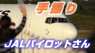 【お手振り / 4K】成田空港 十余三東雲の丘 JALパイロットさんに手を振っていただきました。