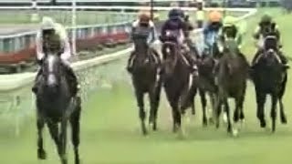 セイウンスカイ 1998 第33回京都大賞典(GII)3歳馬の老獪な大逃げ