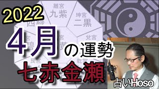 4月の運勢(総合)【七赤金星】2022年 九星 タロット 占い