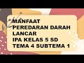 Manfaat Peredaran Darah Lancar.IPA KELAS 5 TEMA 4 SUBTEMA 1