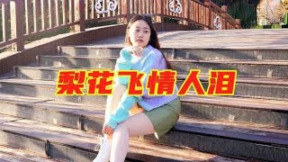 男女对唱DJ情歌《梨花飞情人泪》经典的情歌，醉人的旋律！