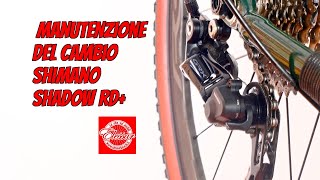 Manutenzione del cambio Shimano con sistema Shadow RD+